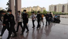 山东日照市爆料案件最新,真相揭开，疑云散去