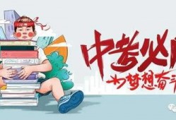 栾川美团爆料事件最新消息,最新进展及影响揭秘