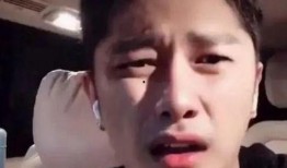 演员成毅最新爆料视频在线观看,演艺生涯背后的故事与感悟