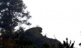 狮子山爆料时间最新,揭秘最新热点事件背后的真相