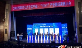 岳阳市最新爆料消息新闻,重大事件引发社会关注，详情即将揭晓