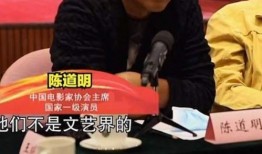陈道明被爆料视频,真相与争议并存