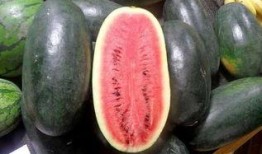 吃瓜qq群网红黑料,真相与争议并存