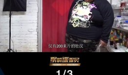 陈律经纪人爆料视频播放