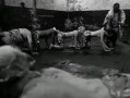 电影人体蜈蚣2在线观看,惊悚续集，生死较量再升级