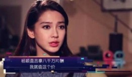 台湾艺人被爆料视频大全,真相与争议并存