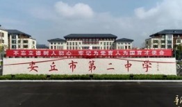 安丘最新爆料消息视频播放,视频揭秘事件真相，精彩瞬间不容错过