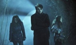 逍遥法外 在线观看,在线观看，揭秘犯罪世界的惊险冒险