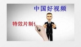 幽默爆料视频素材下载免费,笑料横生！揭秘幽默爆料视频背后的免费下载秘密