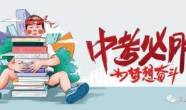 yy国宝最新爆料消息,最新爆料背后的惊人真相