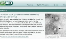 外国专家爆料新病毒视频,外国专家揭秘新型病毒真相