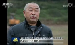 合江在线爆料新闻联播,新闻联播背后的故事