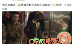 外国狗仔爆料视频播放大全,精彩瞬间全收录