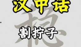 汉中头条今日爆料,揭秘某重大事件背后真相！