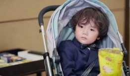 爆料总裁萌照视频大全集,视频大全集趣味瞬间回顾