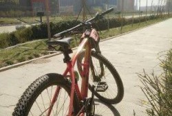 郑州自行车爆料视频最新,揭秘城市交通新现象