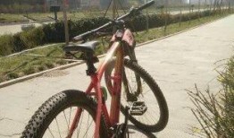 郑州自行车爆料视频最新,揭秘城市交通新现象