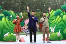 南宁都市频道爆料视频最新,揭秘神秘事件真相！