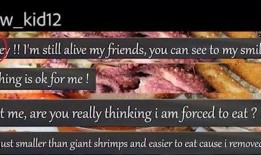 世界吃瓜第一线免费,揭秘全球美食狂欢盛宴