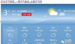 汉中头条今日爆料,揭秘某重大事件背后真相！