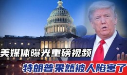 特朗普今日爆料视频全集,今日爆料视频全集深度解析