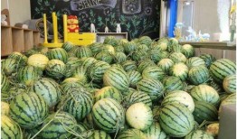 曹县吃瓜今日爆料,揭秘网络爆料的背后真相