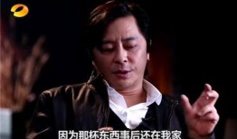 明星大爆料王杰视频大全,明星大爆料视频大全背后的真实故事
