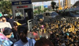 深圳龙岗地铁最新爆料,最新爆料揭示线路规划与建设动态