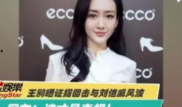 罗颖爆料视频大全最新,揭秘娱乐圈不为人知的一面
