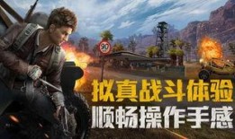 和平精英奇葩人爆料视频,揭秘奇葩人爆料视频，笑料百出引网友热议