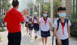 开封爆料小学生视频大全,小学生趣味视频大盘点