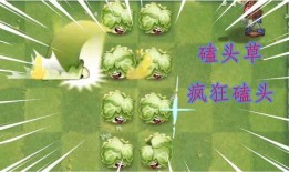 新植物预告爆料视频大全,探索未知植物世界的奇观与奥秘