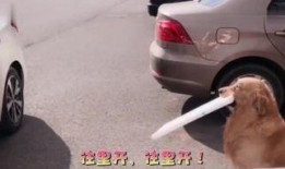 霸姐占车位爆料视频大全,盘点热门爆料视频大全