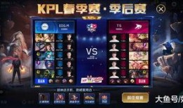 爆料最新kpl皮肤排行,热门英雄皮肤榜单新鲜出炉！