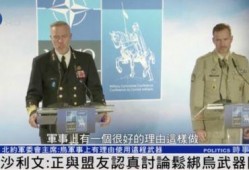 爆料俄罗斯文龙的视频,神秘视频曝光，探寻其背后的真相与奥秘