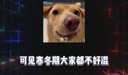 娱乐八卦吃瓜配图大全集,吃瓜配图大全集，带你领略明星幕后故事