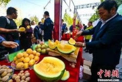 邵阳最新吃瓜爆料视频,揭秘神秘事件真相！