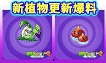 新植物预告爆料视频大全,探索未知植物世界的奇观与奥秘